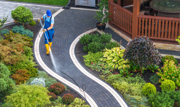 Best Power Washing Near Me  in Mannington, WV
