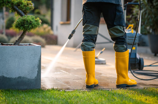 Best Roof Power Washing Services  in Mannington, WV